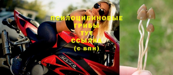 ECSTASY Белоозёрский