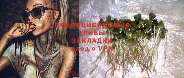 Альфа ПВП Белокуриха