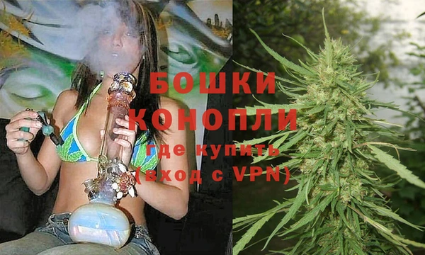 Альфа ПВП Белокуриха