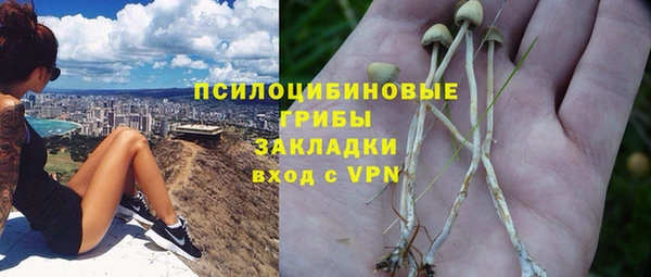 ECSTASY Белоозёрский